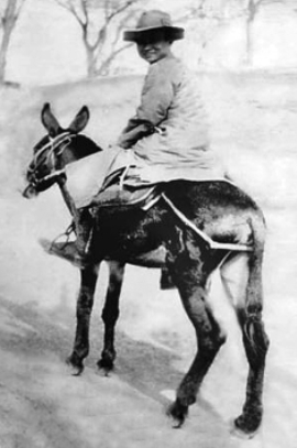 pagenumber_ebook=40,pagenumber_book=34