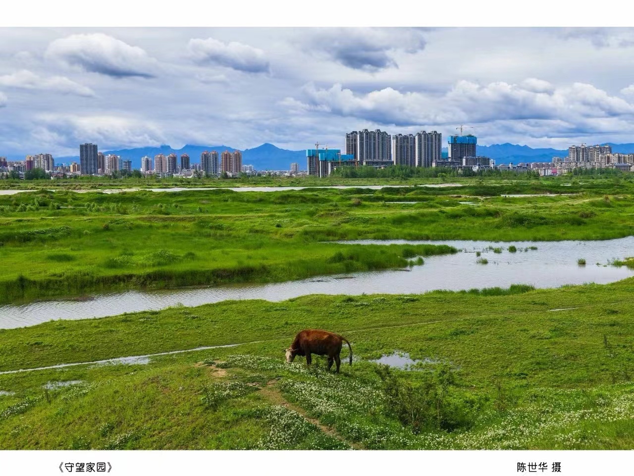 城固《守望家园》陈世华 摄.jpg?v=1746354093829