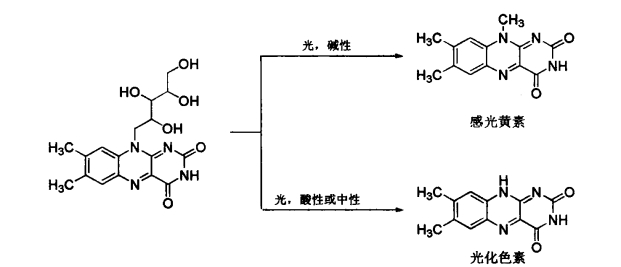 pagenumber_ebook=529,pagenumber_book=511