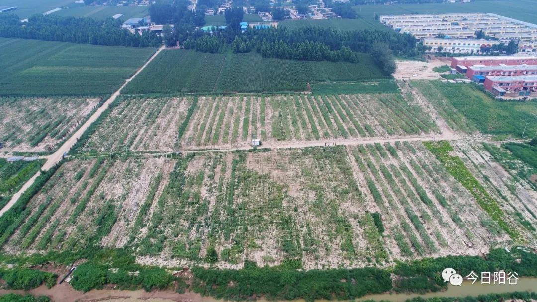 微信图片_20210812101125