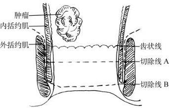 pagenumber_ebook=531,pagenumber_book=516