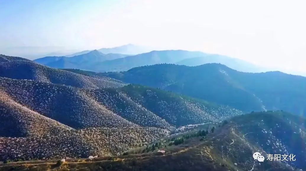 微信图片_20230329163202