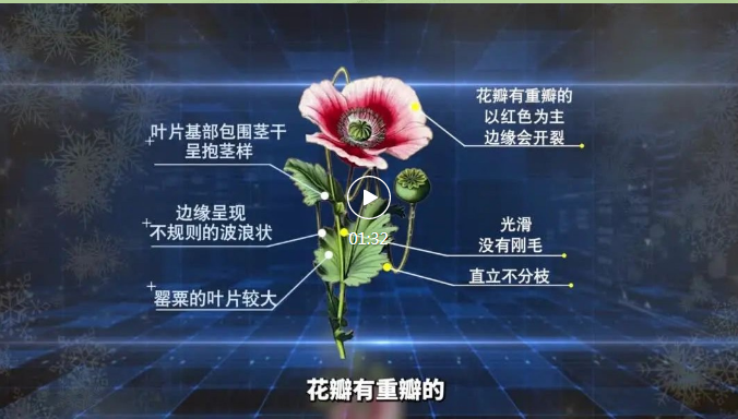 1651214350(1) 1651214350(1).png?v=1762308756717