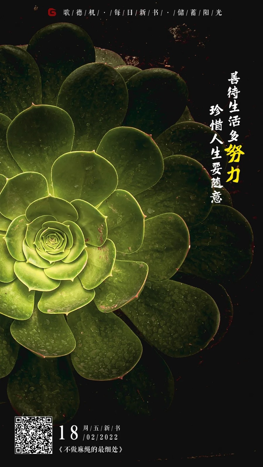 640.webp (1) 640.webp (1).jpg?v=1765701332859