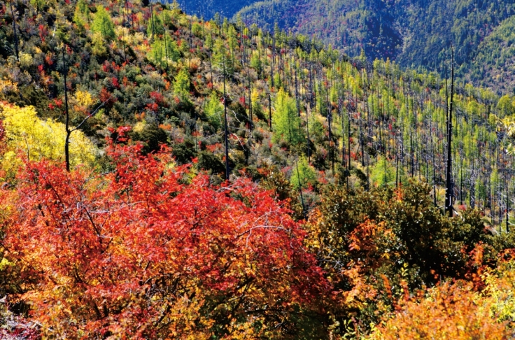 pagenumber_ebook=109,pagenumber_book=97