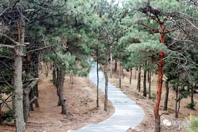 640.webp (4) 640.webp (4).jpg