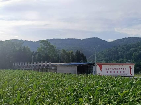 图片 21 图片 21.png