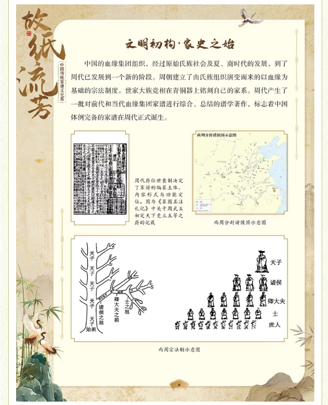 image.png?v=1775271545637