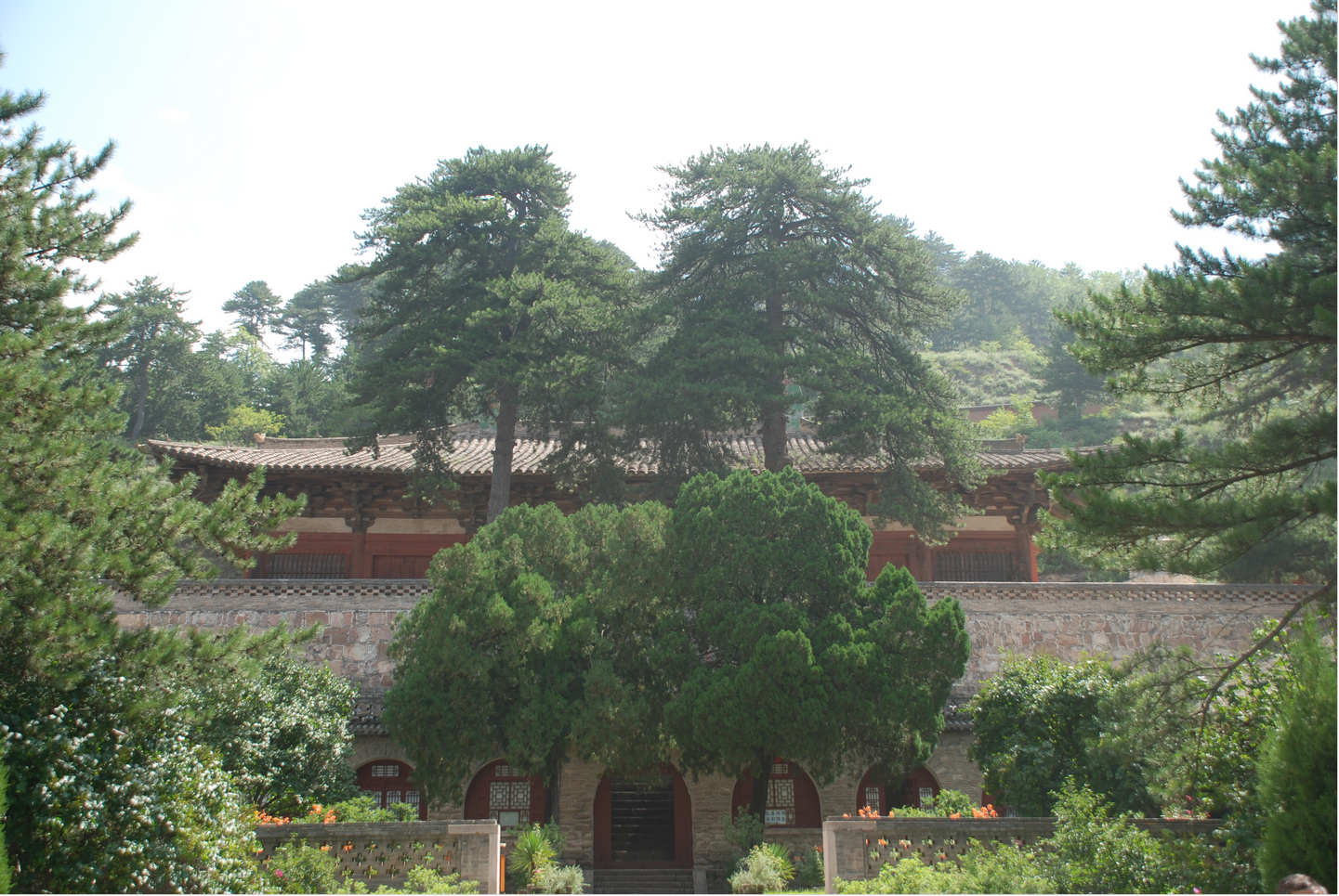 图片4佛光寺东大殿正面全景