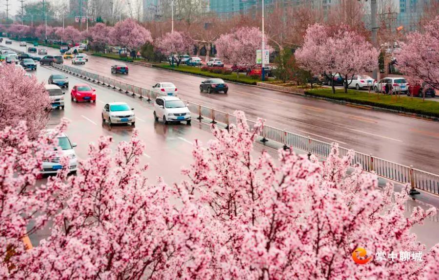 微信图片_20210324085033 微信图片_20210324085033.jpg