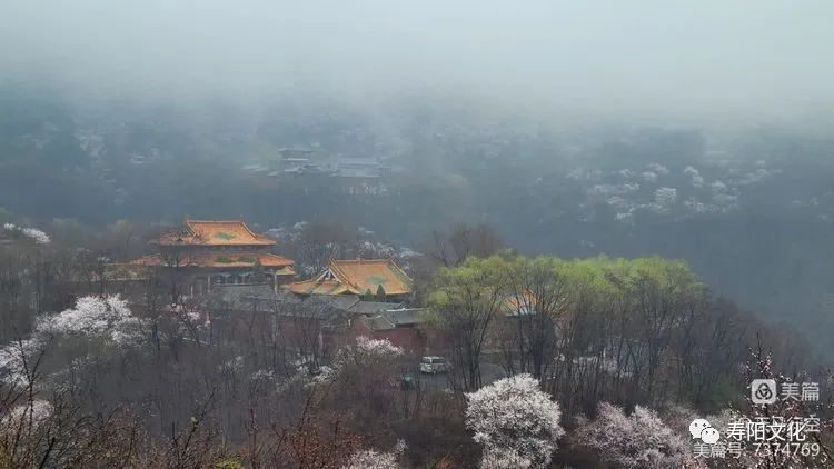 66746fcd3b9a9cd3873e18a3671d649c_640_wx_fmt=jpeg&wxfrom=5&wx_lazy=1&wx_co=1 66746fcd3b9a9cd3873e18a3671d649c_640_wx_fmt=jpeg&wxfrom=5&wx_lazy=1&wx_co=1.jpg