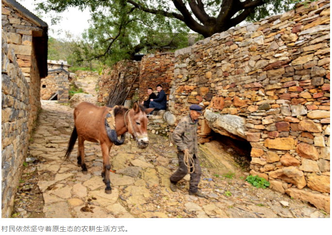 0cc42568897fb3dd1a15dd3899a10161png