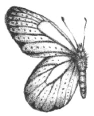 pagenumber_ebook=64,pagenumber_book=48