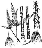 pagenumber_ebook=128,pagenumber_book=128