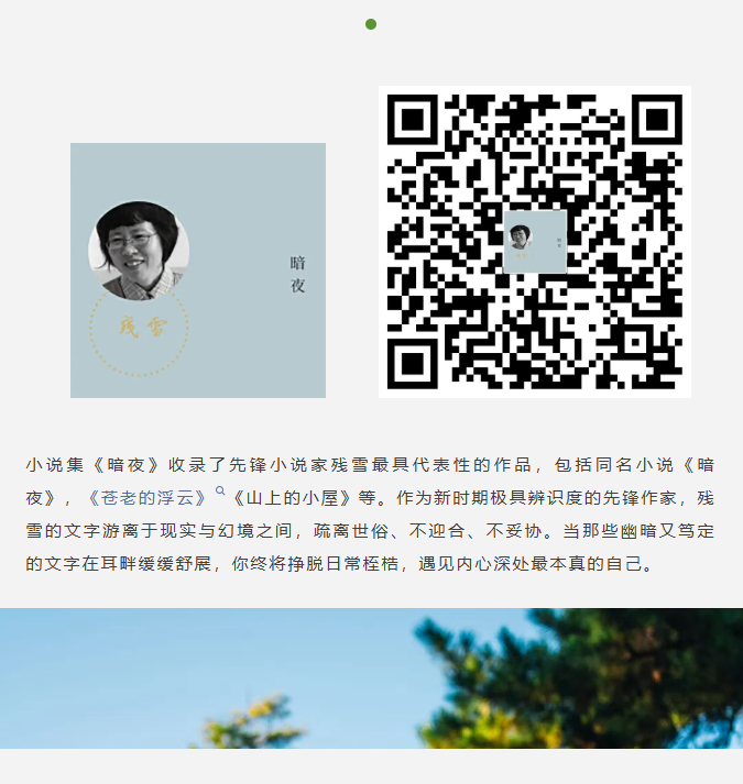 image.png?v=1790804737264