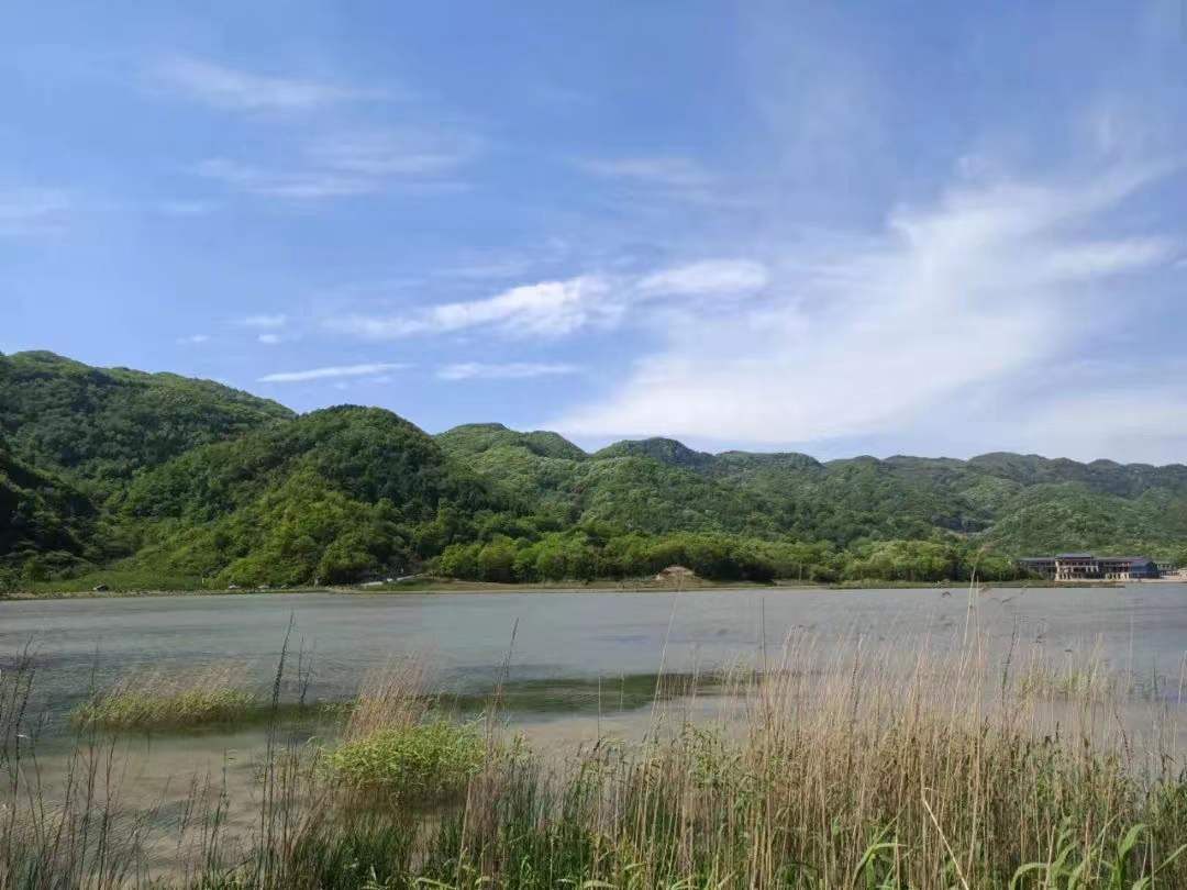 9ca4257f86fea9feb7bd77cd07836ce 9ca4257f86fea9feb7bd77cd07836ce.jpg?v=1762743078123