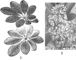 pagenumber_ebook=156,pagenumber_book=156