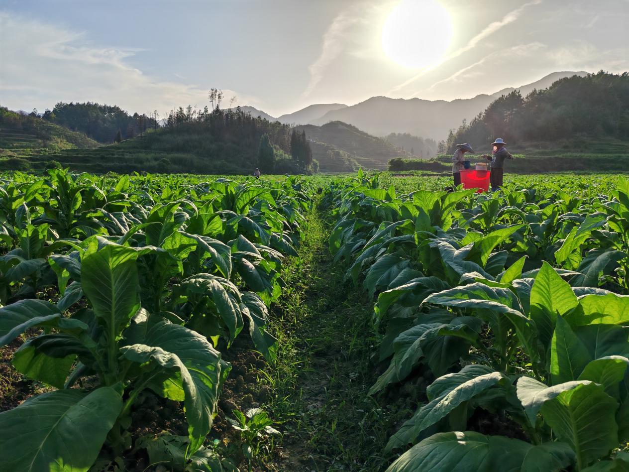 wps_doc_26 wps_doc_26.jpeg