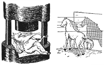 pagenumber_ebook=67,pagenumber_book=63