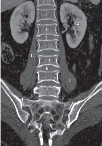 pagenumber_ebook=28,pagenumber_book=19