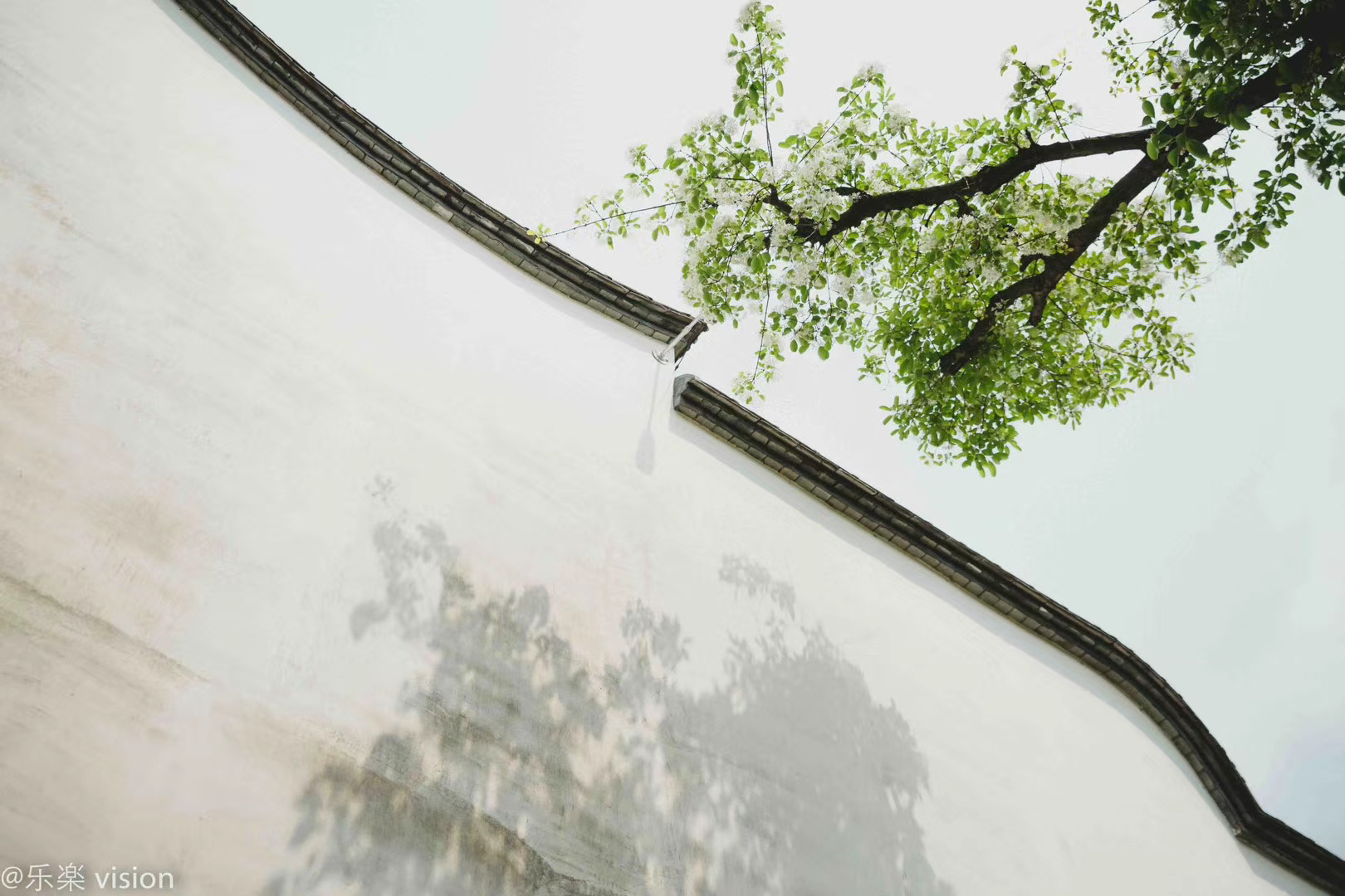 微信图片_20220406153752 微信图片_20220406153752.png