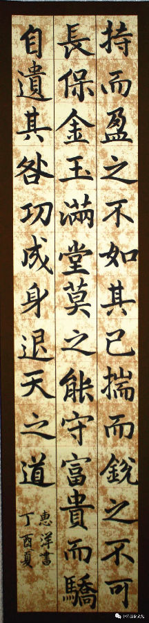 640.webp (1).jpg?v=1764880113128