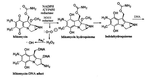 pagenumber_ebook=367,pagenumber_book=349