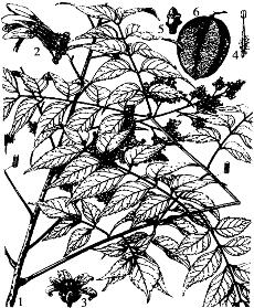 pagenumber_ebook=97,pagenumber_book=97