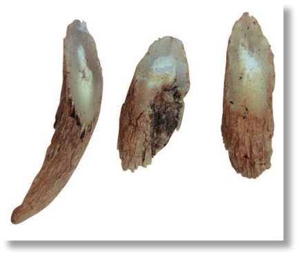 pagenumber_ebook=218,pagenumber_book=205