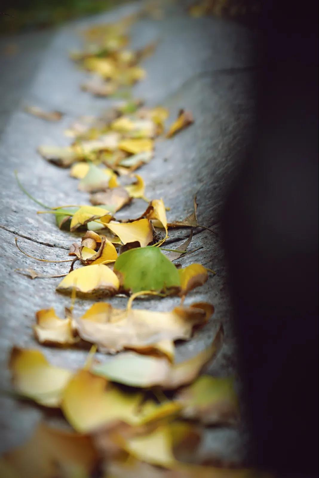 微信图片_20201124234014