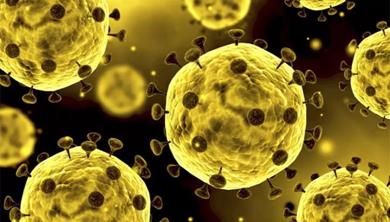 微信图片_20200415113533