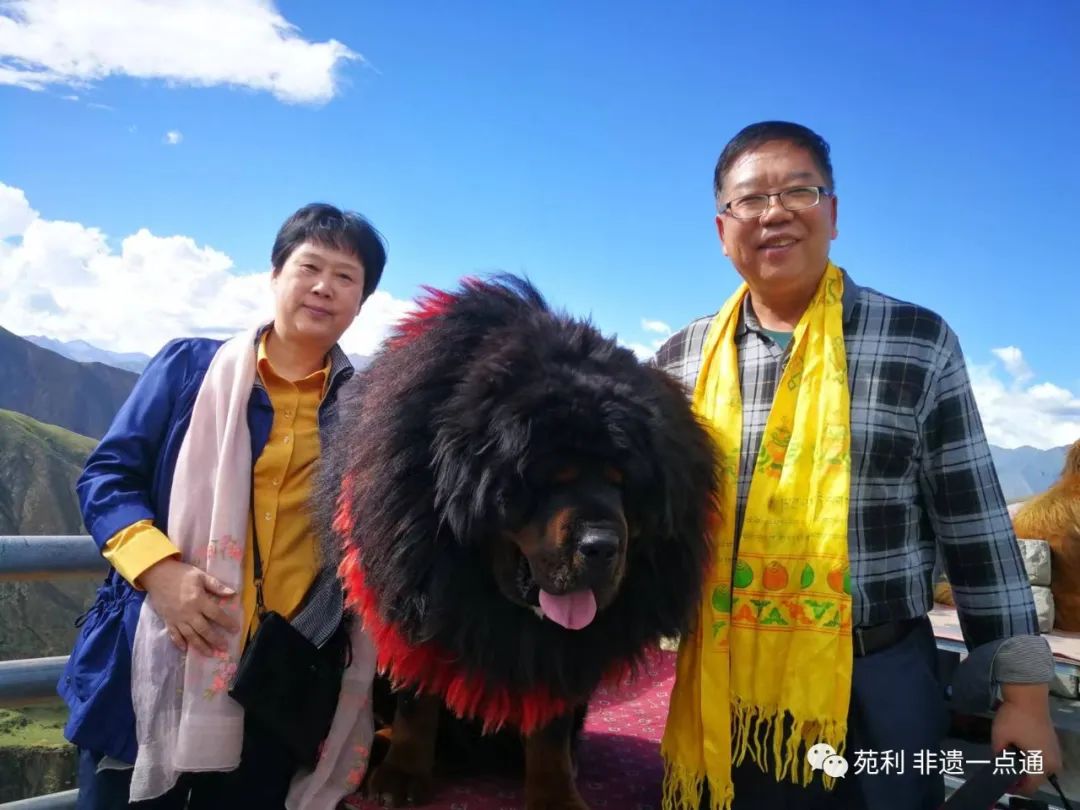 c66c991e088a7b0ed0d325b06c313ae2 c66c991e088a7b0ed0d325b06c313ae2.jpg