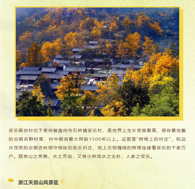 image.png?v=1762073802454