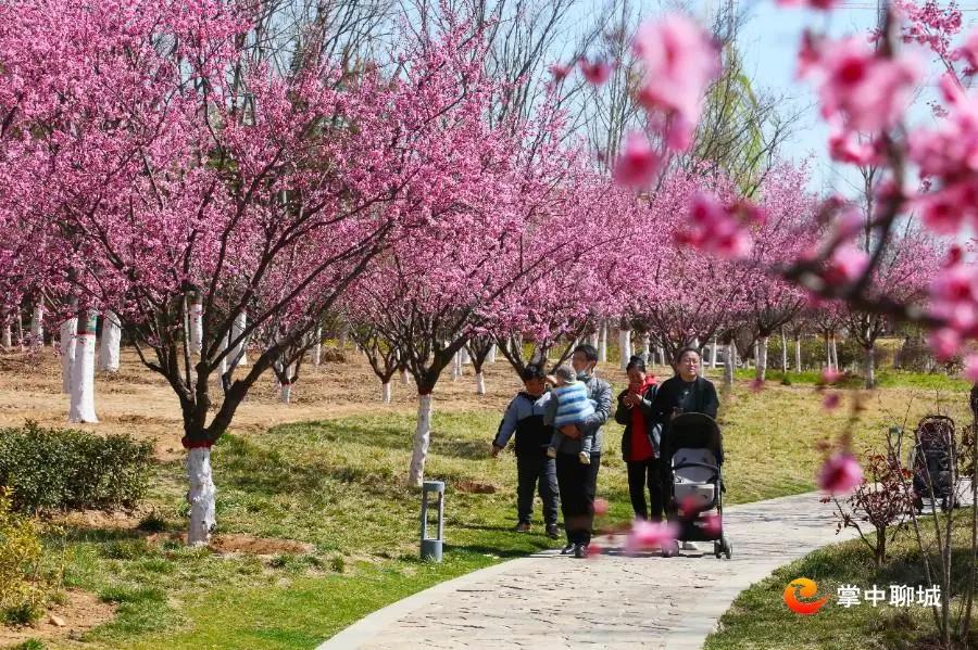 微信图片_20210324085030 微信图片_20210324085030.jpg