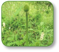 pagenumber_ebook=270,pagenumber_book=257