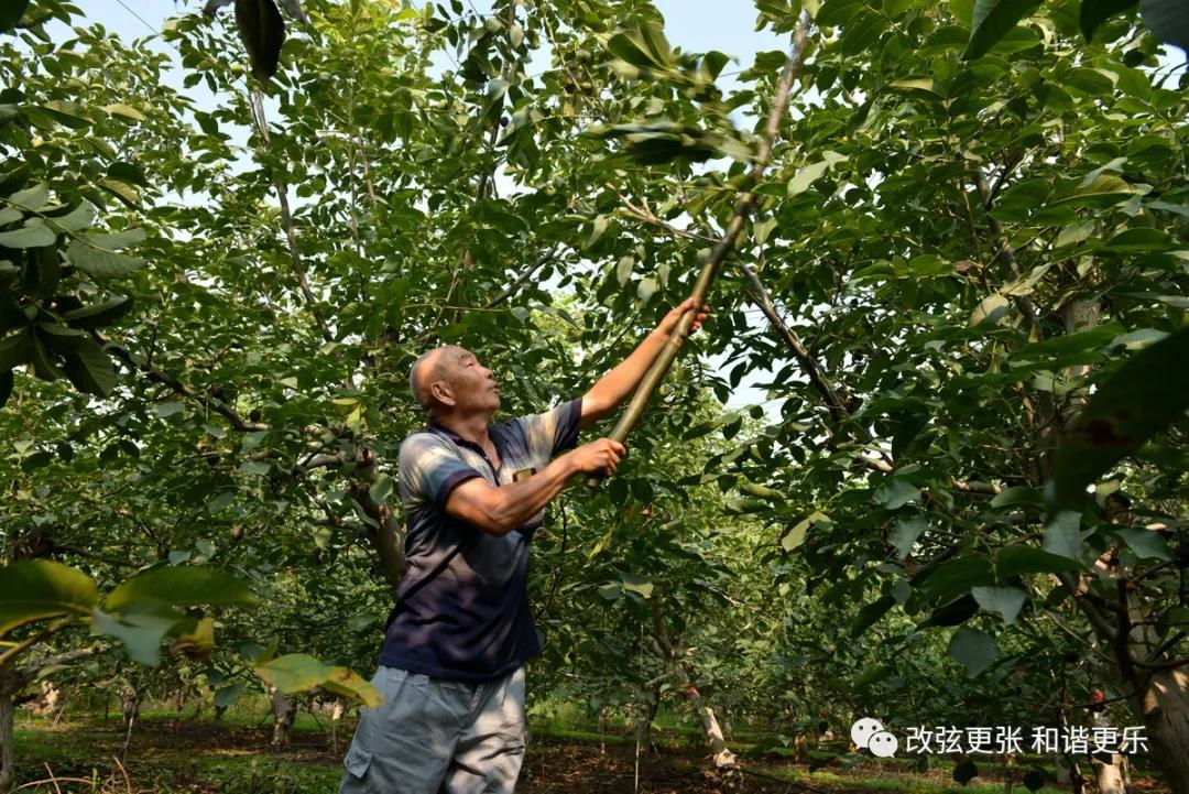 微信图片_20210908151419 微信图片_20210908151419.jpg