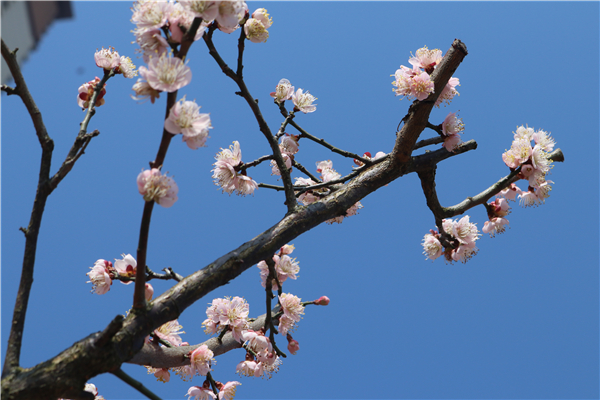 IMG_6084 IMG_6084.jpg