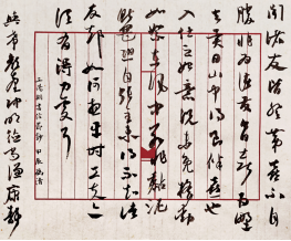 1735008478613 1735008478613.jpg