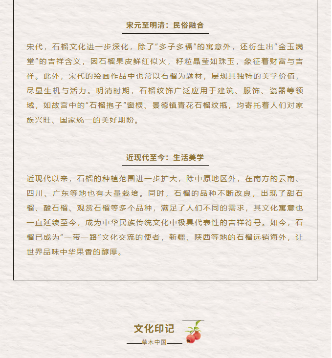 image.png?v=1762073883182