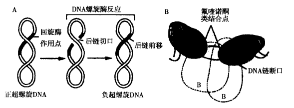 pagenumber_ebook=261,pagenumber_book=243