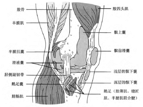 pagenumber_ebook=31,pagenumber_book=13