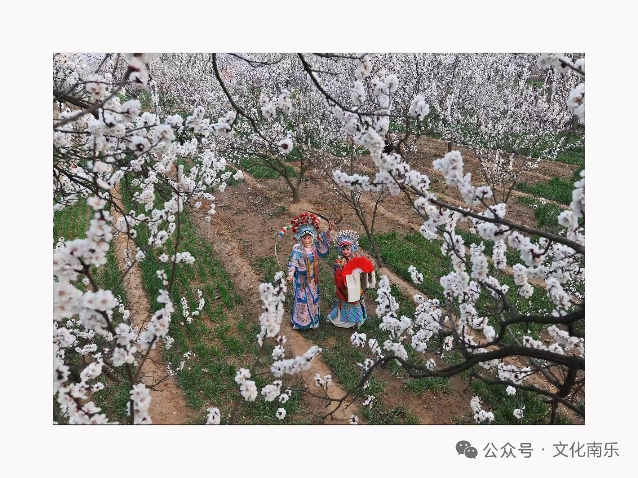 微信图片_20260507092048_131_132jpg