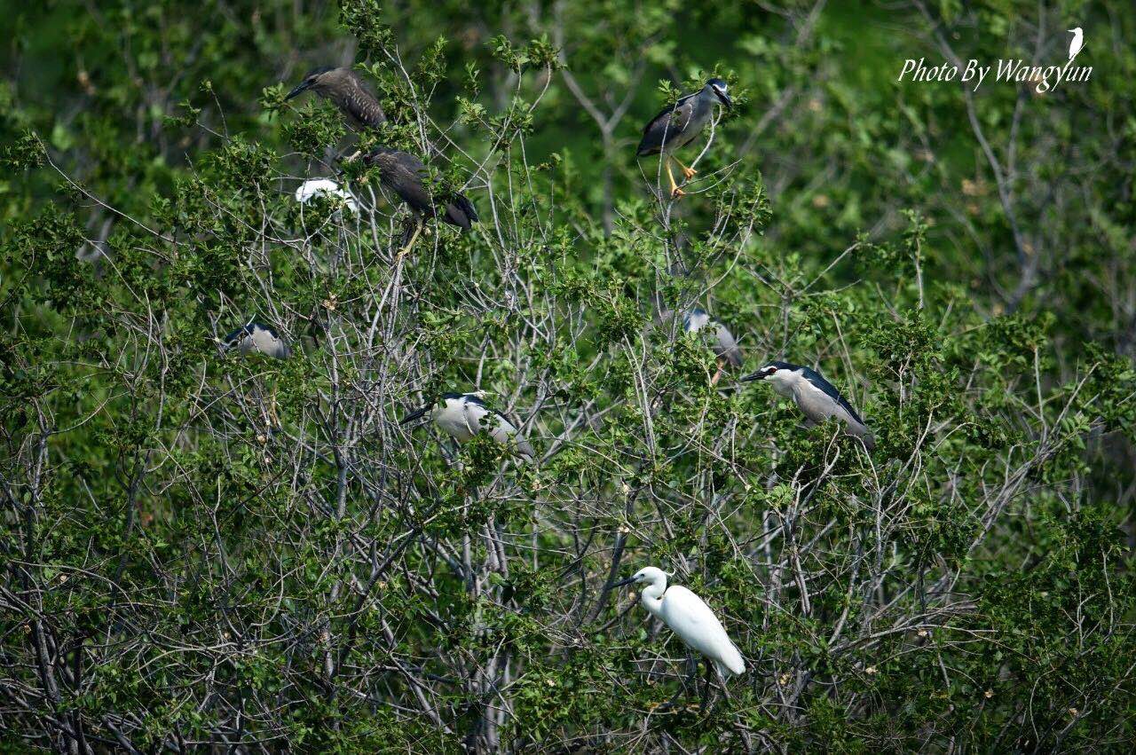 微信图片_2020060516411213