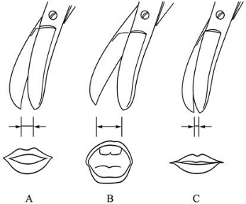 pagenumber_ebook=46,pagenumber_book=31