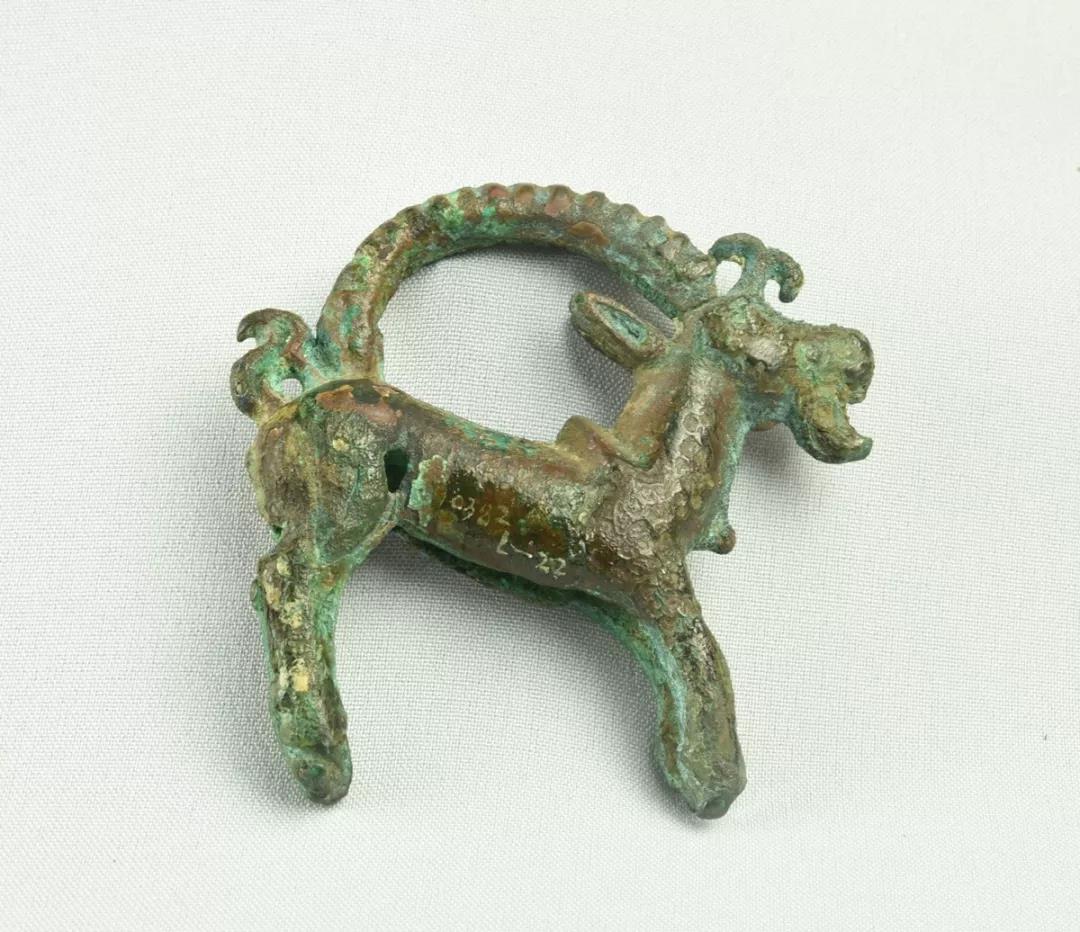 微信图片_20201022105235