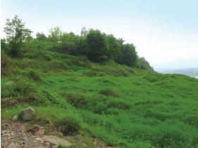 pagenumber_ebook=30,pagenumber_book=30