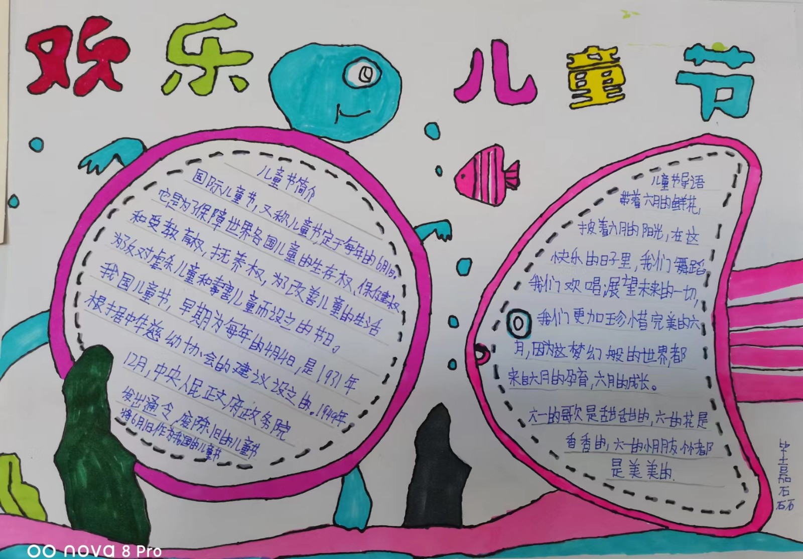 新华小学 四六班 毕嘉磊