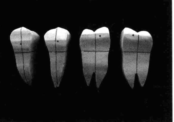 pagenumber_ebook=203,pagenumber_book=194