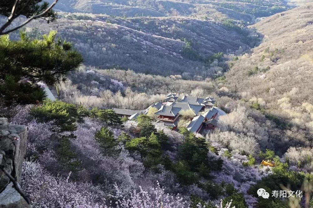 8a67da82fd0a2aa9951454311f9d1e3