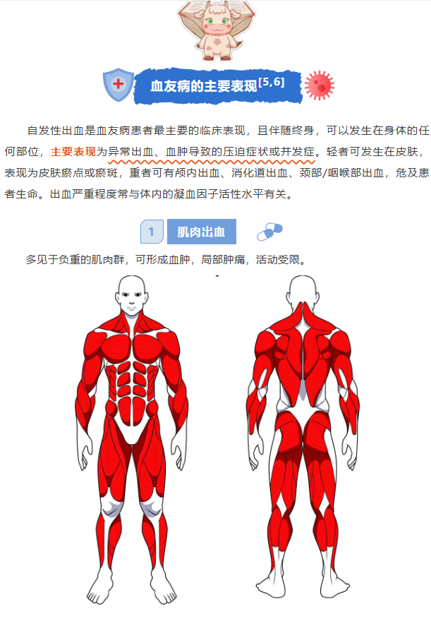 image.png?v=1777161396972